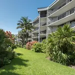 Coconut Palms